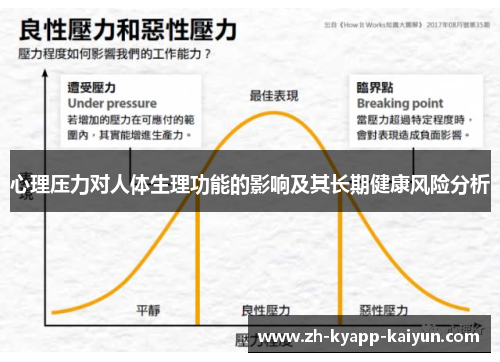 心理压力对人体生理功能的影响及其长期健康风险分析