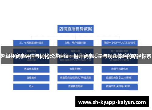 超级杯赛事评估与优化改进建议：提升赛事质量与观众体验的路径探索